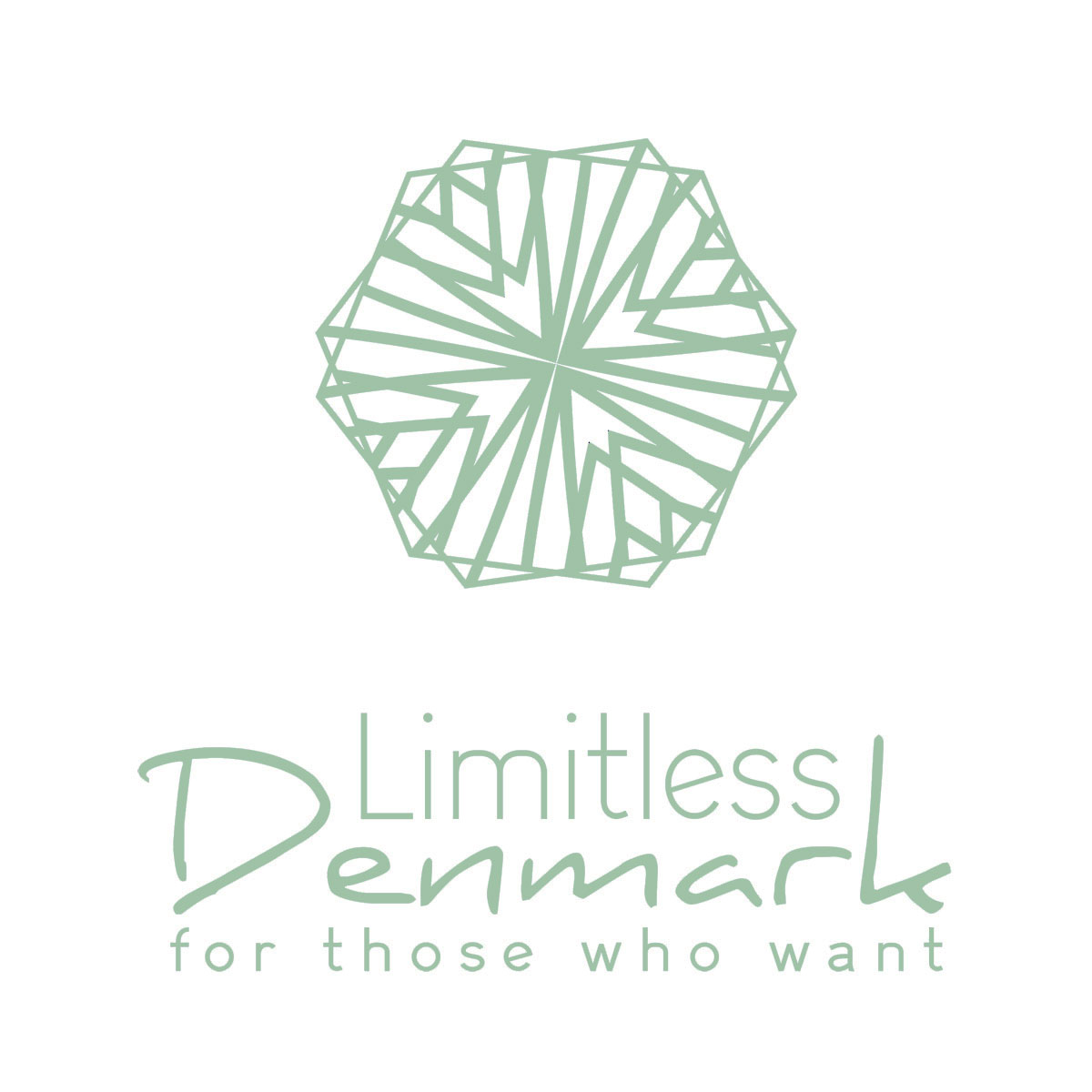 Portfolio med logo for Limitless Denmark af freelance marketingkonsulent og freelance marketing konsulent i Randers Marketingsnedkeren
