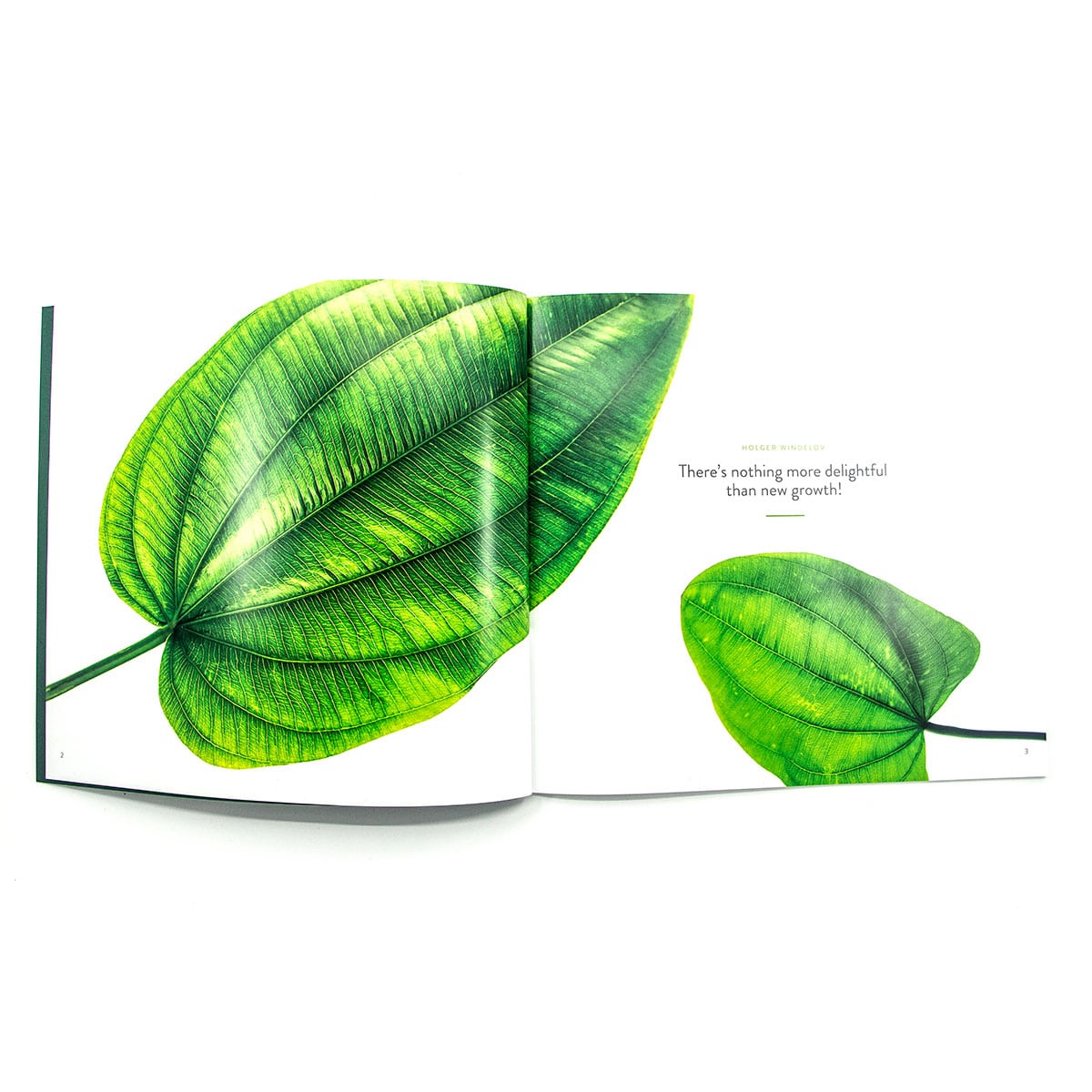 Portfolio med jubilæumsbog for Tropica af freelance marketingkonsulent og freelance marketing konsulent i Randers Marketingsnedkeren